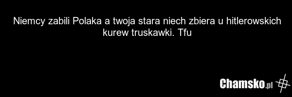 Niemcy zabili Polaka a twoja stara niech zbiera u hitlerowskich kurew truskawki. Tfu