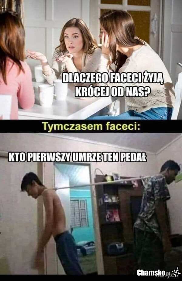 Zakład