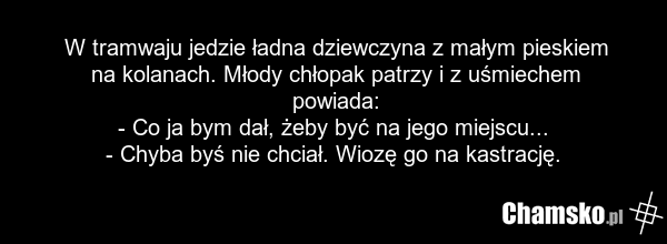 W tramwaju jedzie ładna dziewczyna z małym pieskiem na kolanach. Młody chłopak patrzy i z uśmiechem powiada: - Co ja bym dał, żeby być na jego miejscu... - Chyba byś nie chciał. Wiozę go na kastrację.