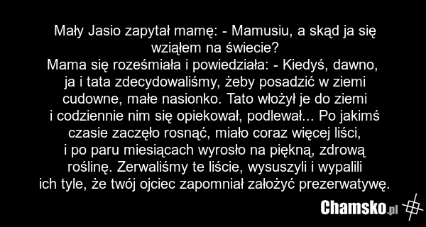 Mały Jasio zapytał mamę: - Mamusiu, a skąd ja się wziąłem na świecie? Mama się roześmiała i powiedziała: - Kiedyś, dawno, ja i tata zdecydowaliśmy, żeby posadzić w ziemi cudowne, małe nasionko. Tato włożył je do ziemi i codziennie nim się opiekował, podlewał... Po jakimś czasie zaczęło rosnąć, miał…