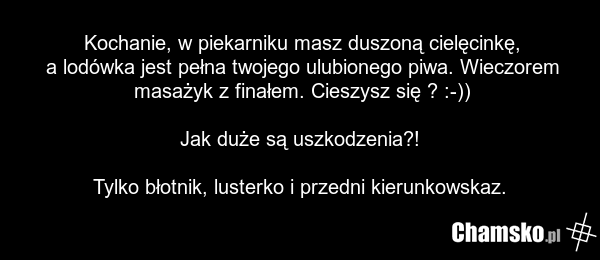 Kochanie, w piekarniku masz duszoną cielęcinkę, a lodówka jest pełna twojego ulubionego piwa. Wieczorem masażyk z finałem. Cieszysz się ? :-)) Jak duże są uszkodzenia?! Tylko błotnik, lusterko i przedni kierunkowskaz.