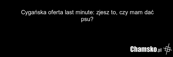 Cygańska oferta last minute: zjesz to, czy mam dać psu?