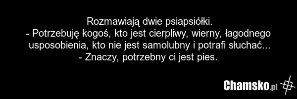 Rozmawiają dwie psiapsiółki. - Potrzebuję kogoś, kto jest cierpliwy, wierny, łagodnego usposobienia, kto nie jest samolubny i potrafi słuchać... - Znaczy, potrzebny ci jest pies.