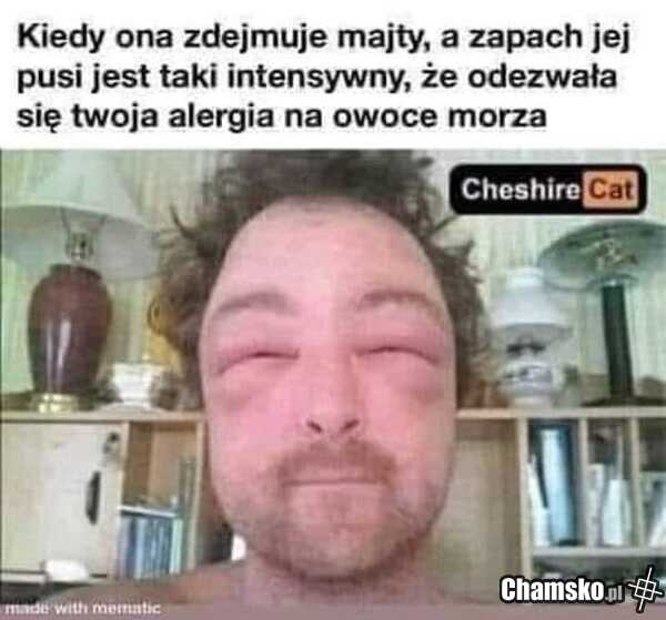Zapach