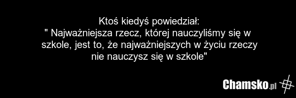 Ktoś kiedyś powiedział: " Najważniejsza rzecz, której nauczyliśmy się w szkole, jest to, że najważniejszych w życiu rzeczy nie nauczysz się w szkole"