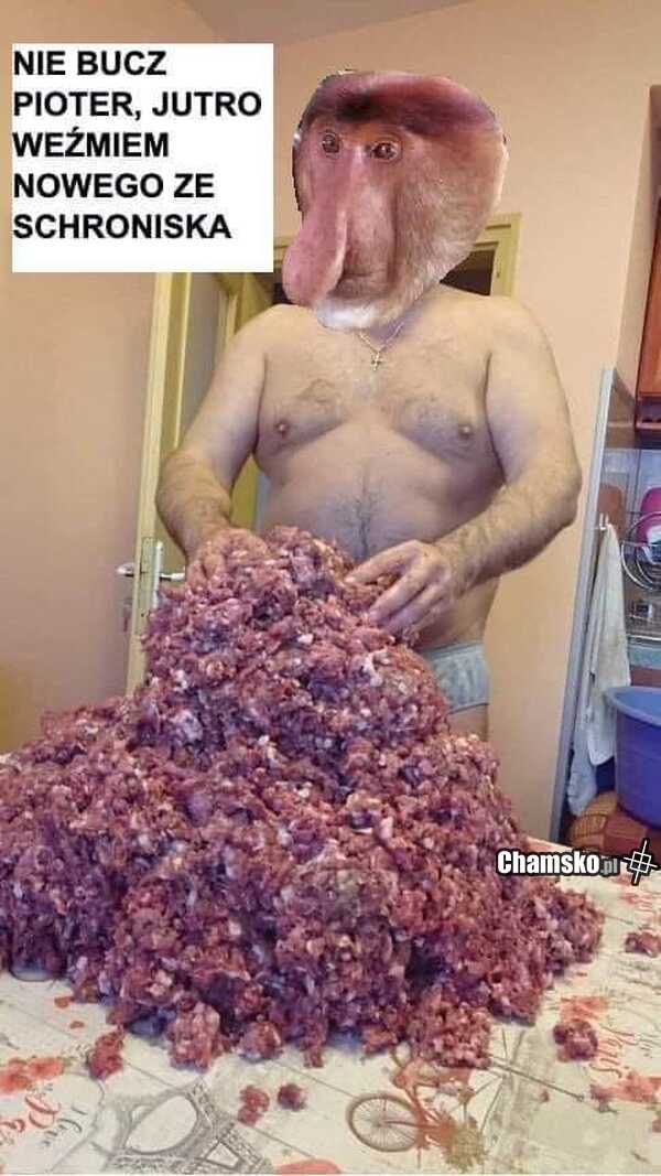 Jutro weźmiemy nowego