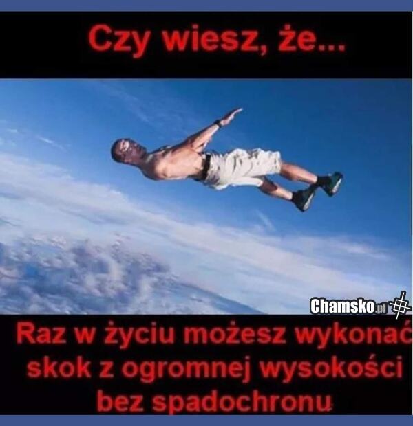 Ciekawostka