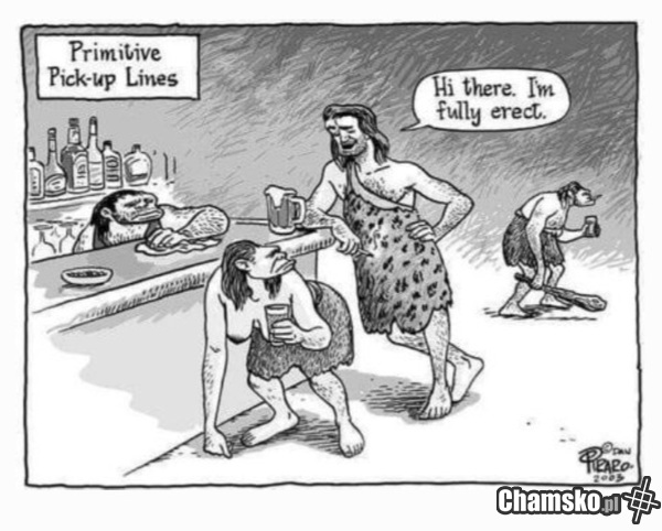 Homo erectus