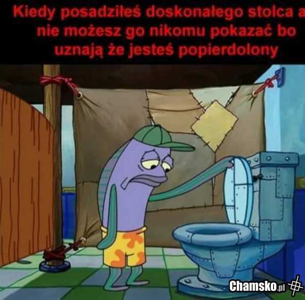 Klocek