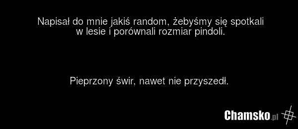 Świr