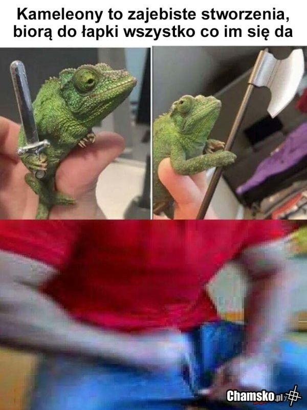 Kameleony
