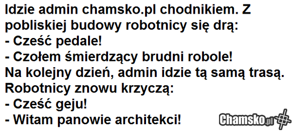 admin chamsko.pl