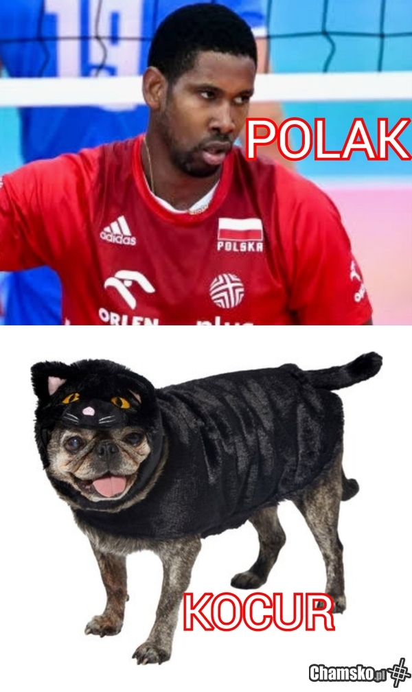 Polak
