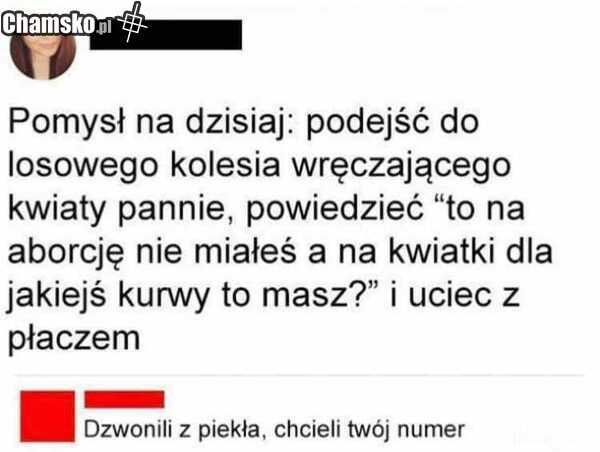 Niezły pomysł