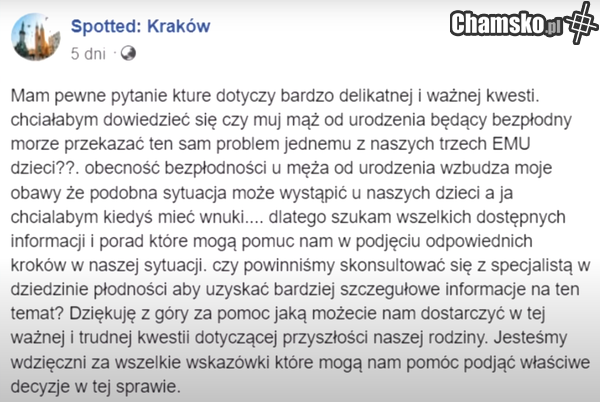 yt = Beka z LUDZI W INTERNECIE