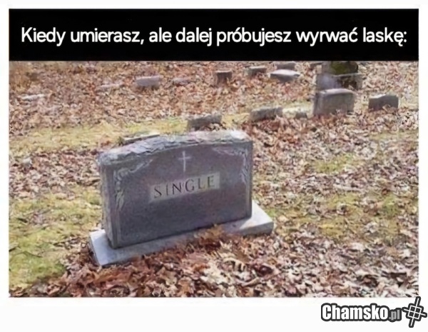 Życie się kończy, wyrywanie lasek trwa!