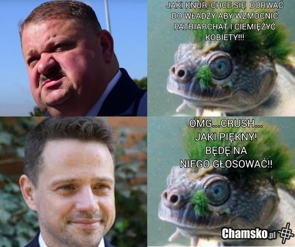 Logika feministek
