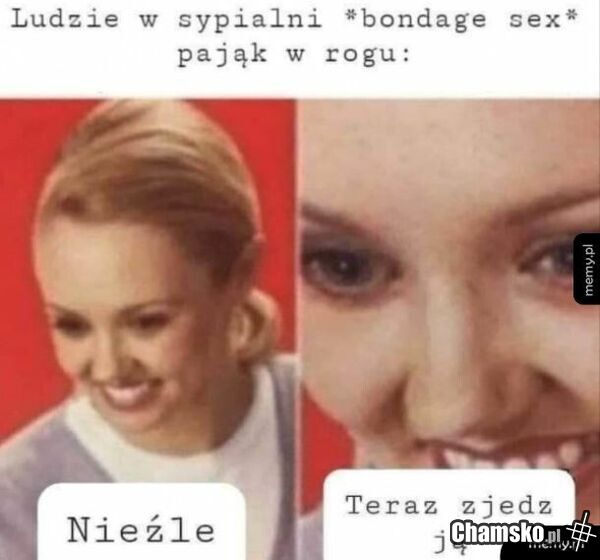 Elo