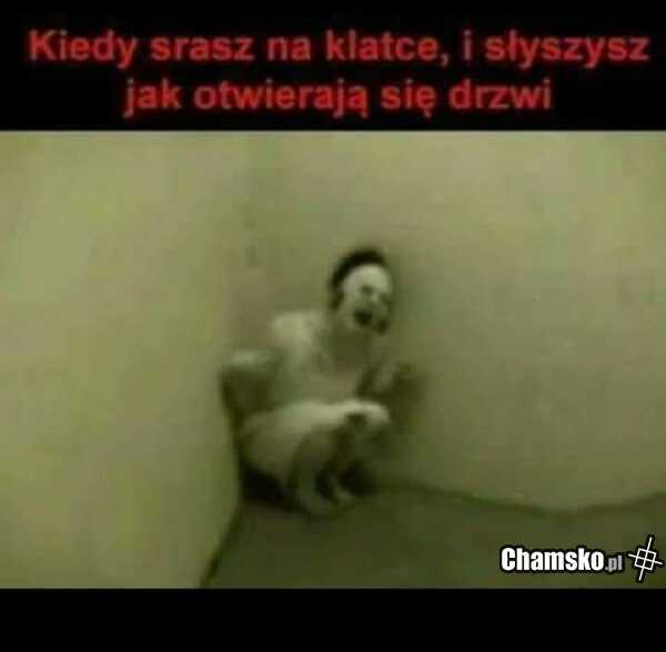 Sranie na klatce