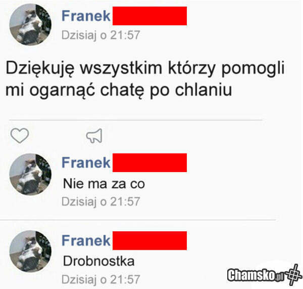 Ograrnianie chaty