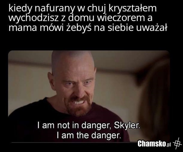Wena jest King - konga