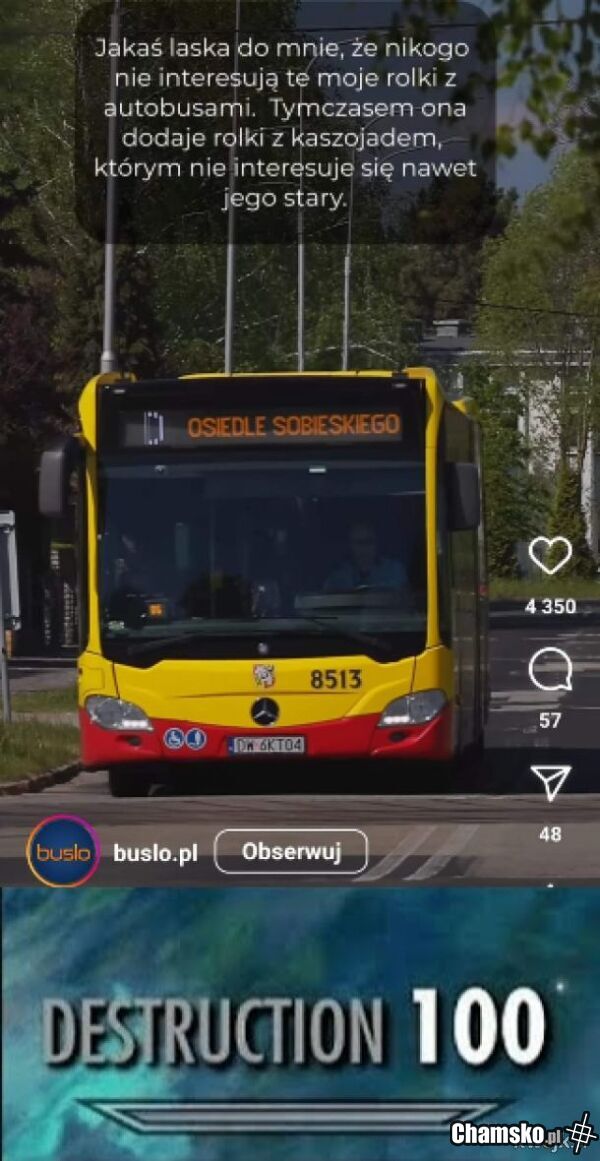 Jedyne co jej w życiu wyszło to gówniak z pizzy.