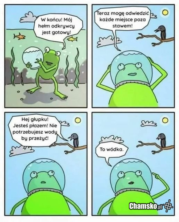 Genialna żaba
