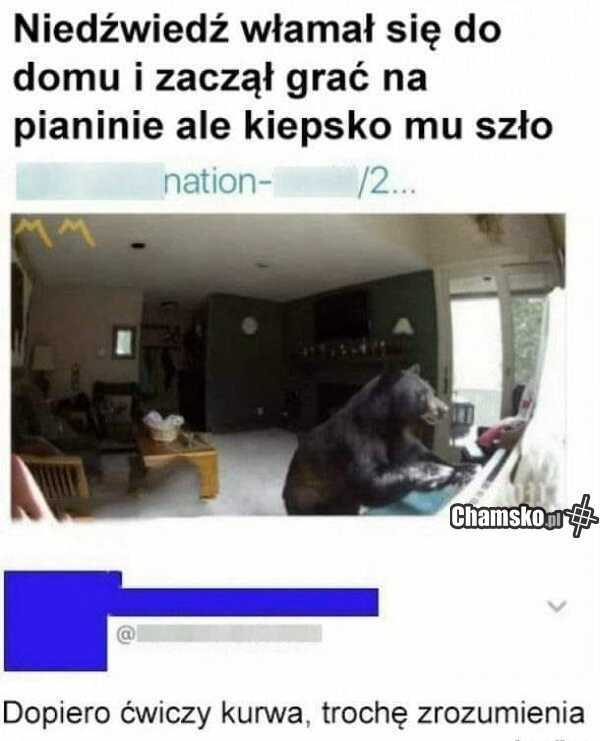Włamywacz