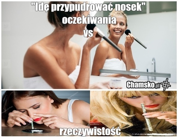 nosek