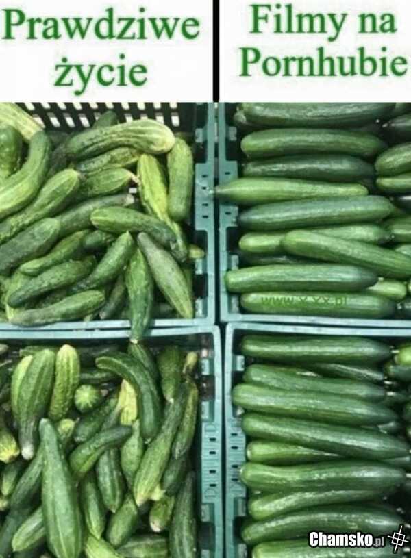 Prawdziwe życie