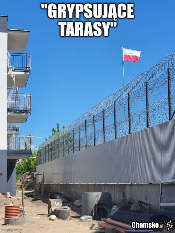 tarasy