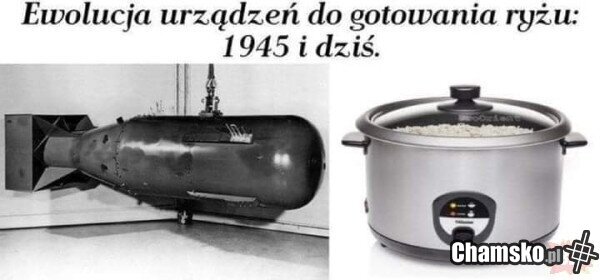 Smażony ryż