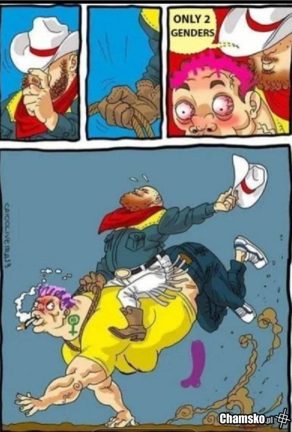 Rodeo