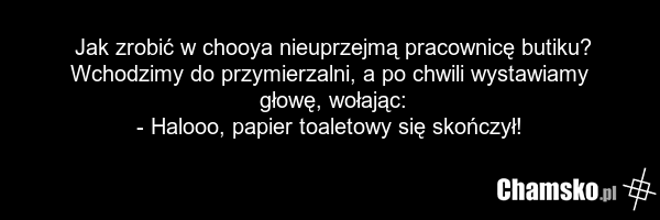 Jak zrobić w chooya nieuprzejmą pracownicę butiku? Wchodzimy do przymierzalni, a po chwili wystawiamy głowę, wołając: - Halooo, papier toaletowy się skończył!