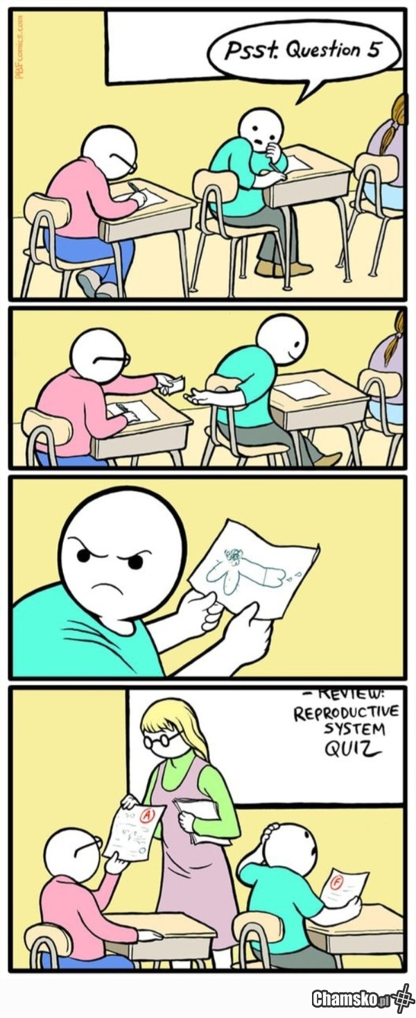 Ściąga