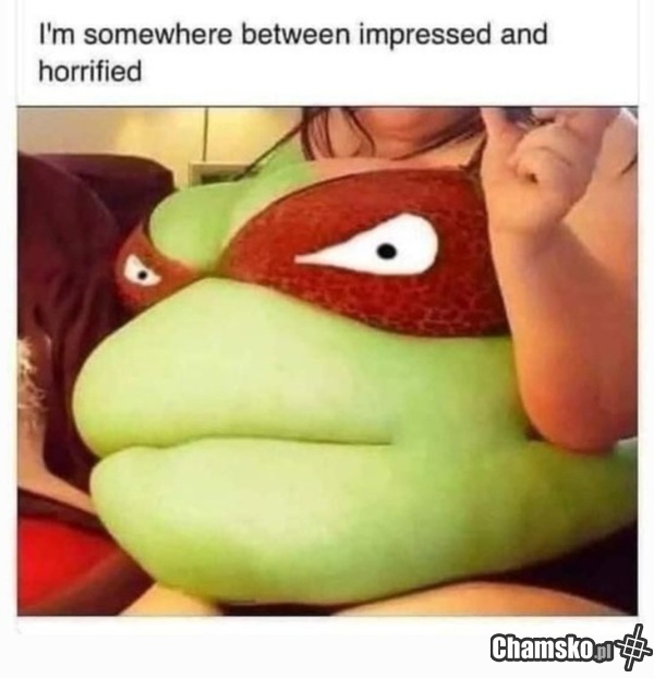 Michael Angelo