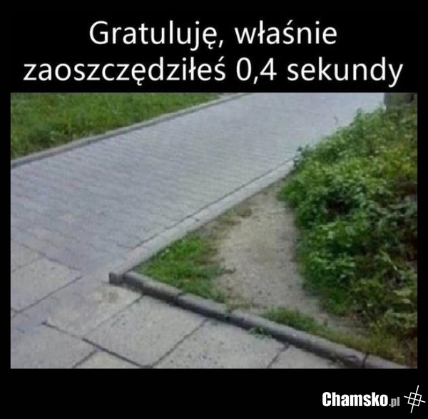 Oszczędniś - deptacz