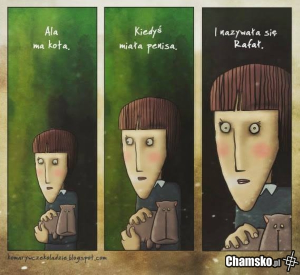 Ala ma kota