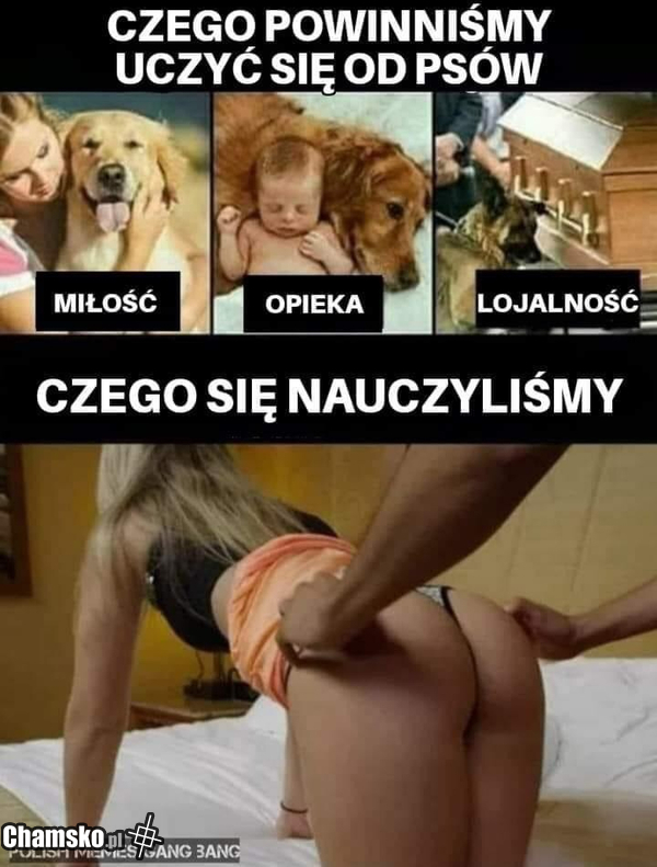 Psy