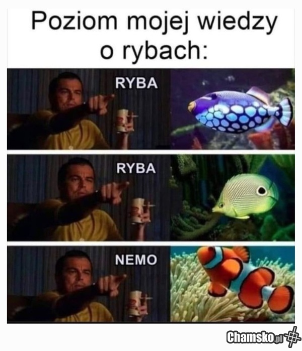 Nemo