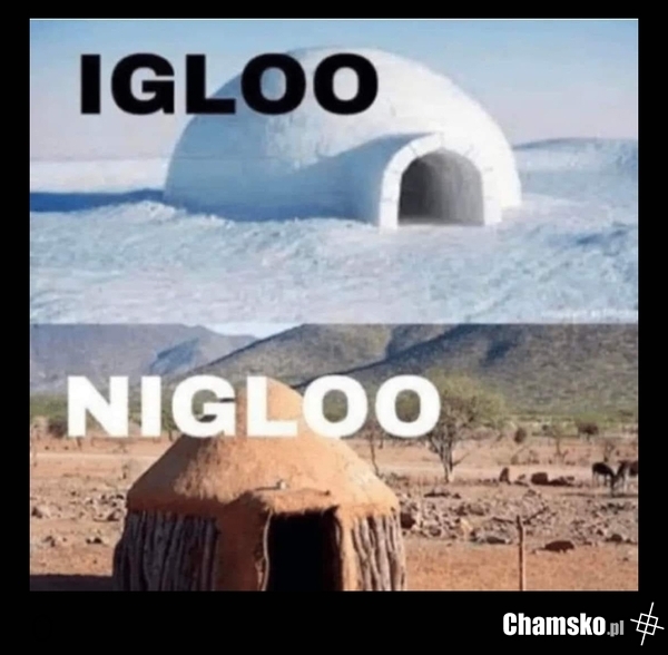Nigloo
