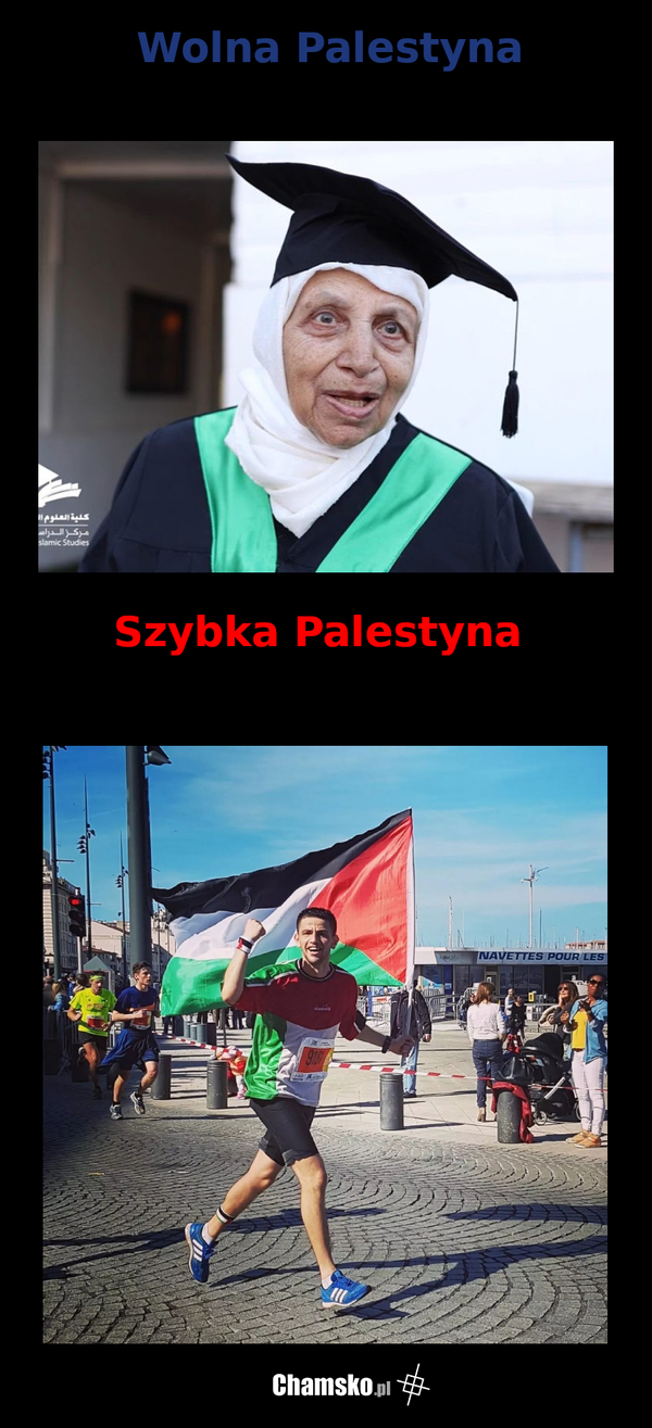 Palestyna