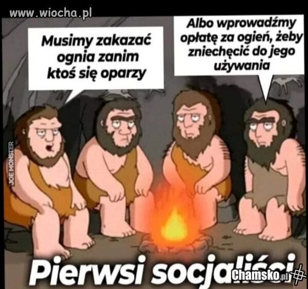 Socjalistom wieżą głupi.