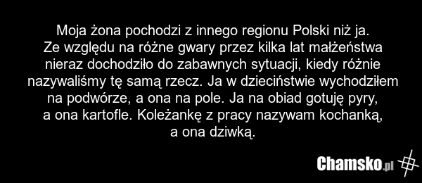 Moja żona pochodzi z innego regionu Polski niż ja. Ze względu na różne gwary przez kilka lat małżeństwa nieraz dochodziło do zabawnych sytuacji, kiedy różnie nazywaliśmy tę samą rzecz. Ja w dzieciństwie wychodziłem na podwórze, a ona na pole. Ja na obiad gotuję pyry, a ona kartofle. Koleżankę z pra…