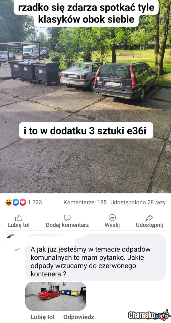 Do czerwonego wrzucamy psie odchody