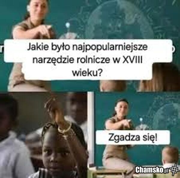Brawo