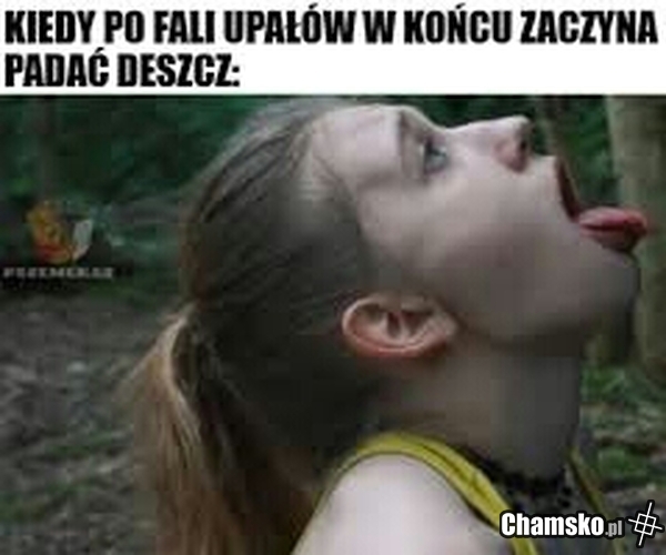 Susza