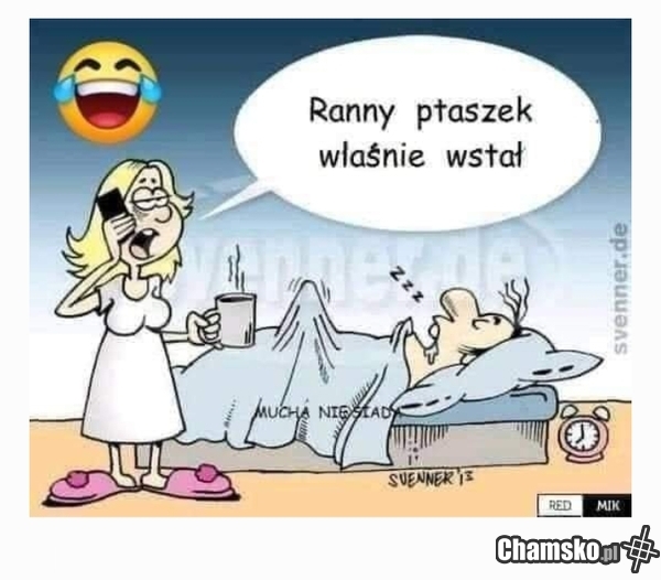 Ranny ptaszek