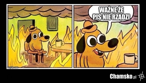 Mentalność typowego wyborcy aktualnej władzy
