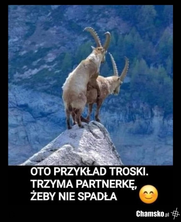W plenerze...